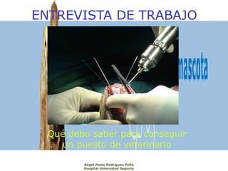 ENTREVISTA DE TRABAJO




  Qué debo saber para conseguir
    un puesto de veterinario

         Angel Jesús Rodriguez Peña
         Hospital Vetersalud Segovia
 