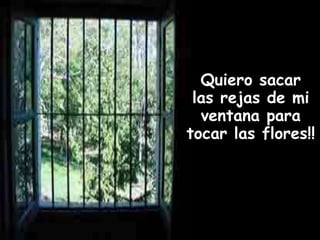 Quiero sacar
 las rejas de mi
  ventana para
tocar las flores!!
 