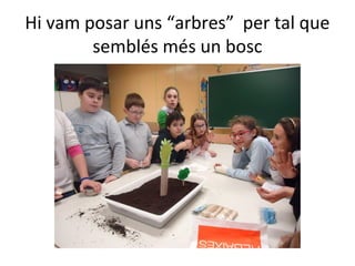 Hi vam posar uns “arbres” per tal que
semblés més un bosc
 