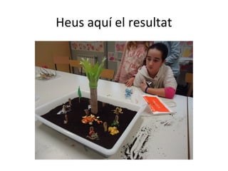 Heus aquí el resultat
 