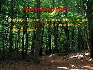 Què volíem saber?
• Què passa amb totes les fulles, deixalles de tot
tipus que cauen a llencem al terra dels boscos
i altres paratges?
 
