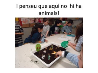 I penseu que aquí no hi ha
animals!
 