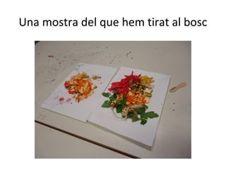 Una mostra del que hem tirat al bosc
 