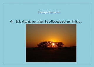 ? Es la disputa per algun be o lloc que pot ser limitat...
 