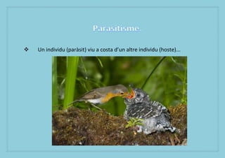 ?   Un individu (parsit) viu a costa dun altre individu (hoste)...
 