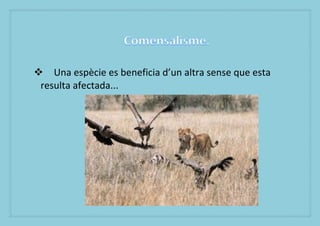 ? Una espcie es beneficia dun altra sense que esta
 resulta afectada...
 