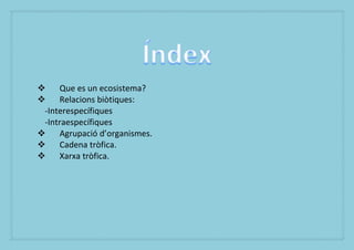 ?    Que es un ecosistema?
?    Relacions bitiques:
 -Interespecfiques
 -Intraespecfiques
?    Agrupaci dorganismes.
?    Cadena trfica.
?    Xarxa trfica.
 