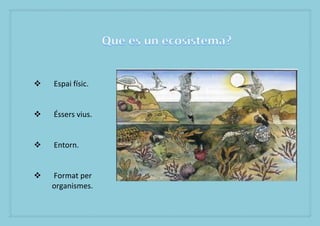 ?   Espai fsic.


?   ?ssers vius.


?   Entorn.


?   Format per
    organismes.
 