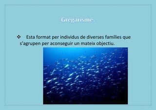? Esta format per individus de diverses famlies que
 sagrupen per aconseguir un mateix objectiu.
 