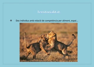 ?   Dos individus amb relaci de competncia per aliment, espai...
 