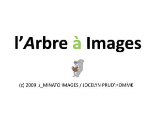 l’Arbre à Images (c) 2009  J_MINATO IMAGES / JOCELYN PRUD’HOMME 