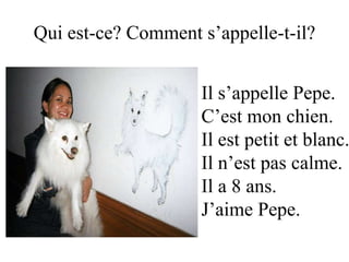 Qui est-ce? Comment s’appelle-t-il?


                    Il s’appelle Pepe.
                    C’est mon chien.
                    Il est petit et blanc.
                    Il n’est pas calme.
                    Il a 8 ans.
                    J’aime Pepe.
 