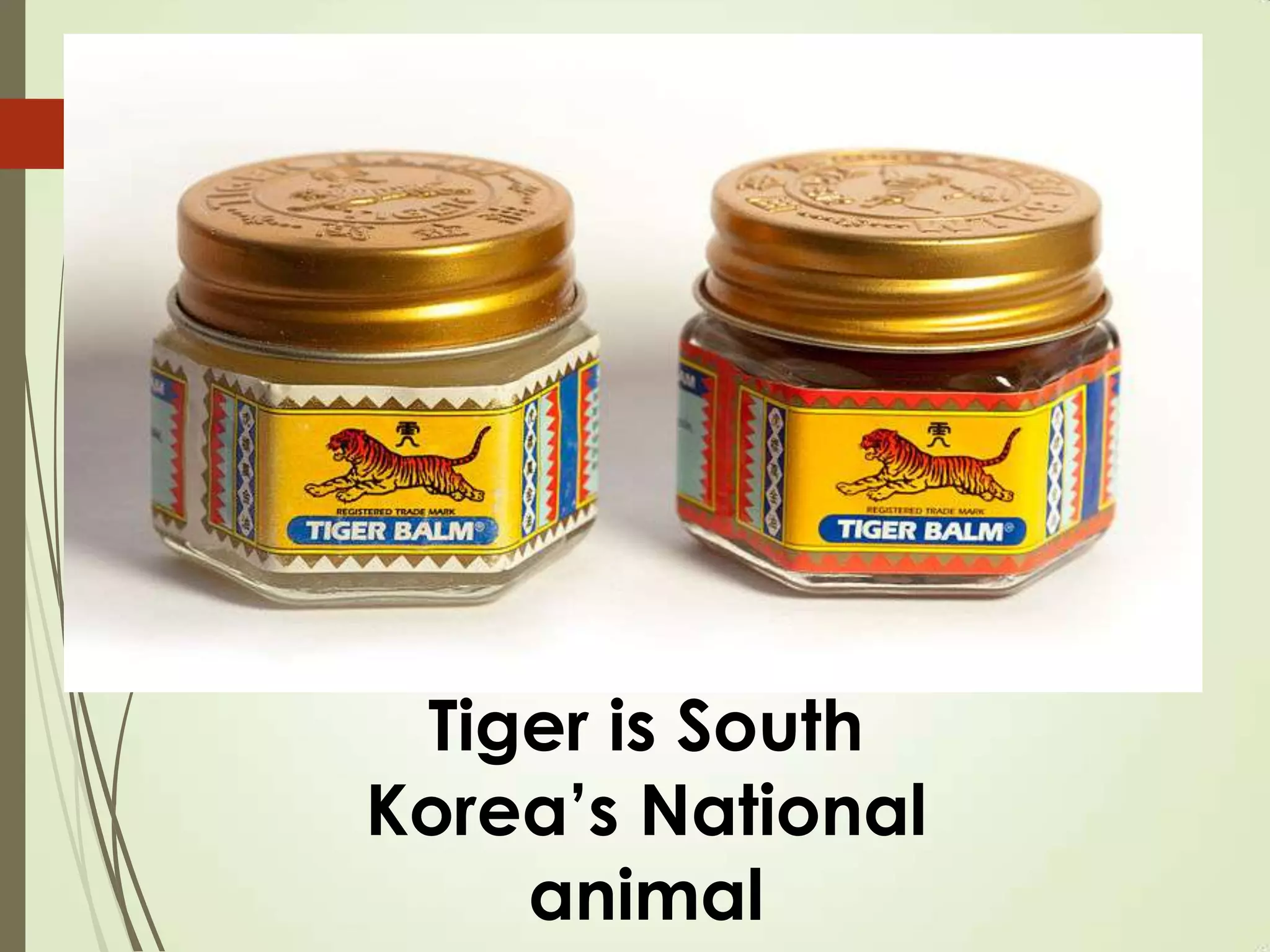 Tiger is South
Korea’s National
animal
 