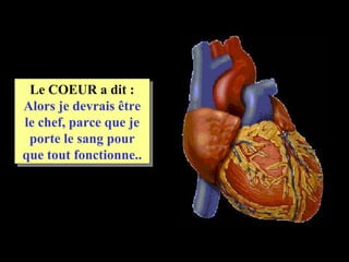 Le COEUR a dit :
Alors je devrais être
le chef, parce que je
 porte le sang pour
que tout fonctionne..
 