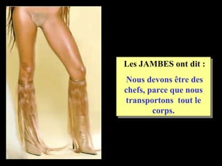 Les JAMBES ont dit :
 Nous devons être des
chefs, parce que nous
transportons tout le
        corps.
 