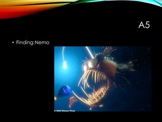 A5
• Finding Nemo
 
