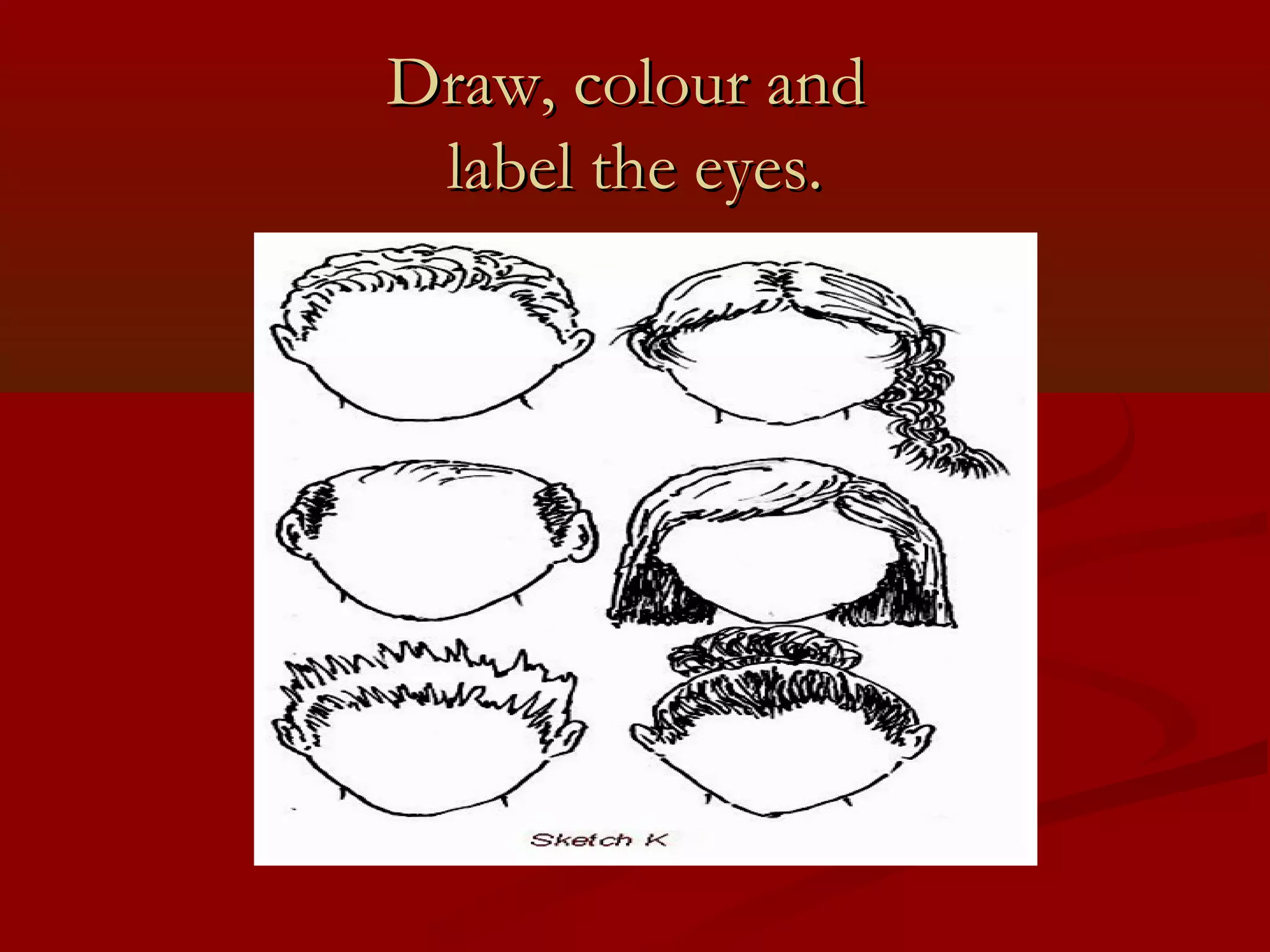 Draw, colour and
 label the eyes.
 