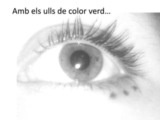 Amb els ulls de color verd…
 