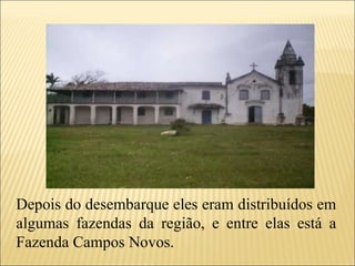 Depois do desembarque eles eram distribuídos em algumas fazendas da região, e entre elas está a Fazenda Campos Novos. 
