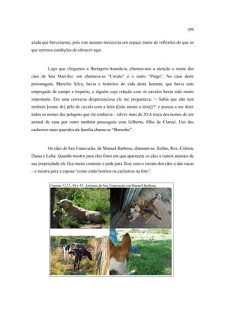 109
ainda que brevemente, pois este assunto mereceria um espaço maior de reflexões do que os
que teremos condições de oferecer aqui.

Logo que chegamos a Barragem-Anastácia, chamou-nos a atenção o nome dos
cães de Seu Marcílio: um chamava-se “Cavalo” e o outro “Pingo”. No caso deste
personagem, Marcílio Silva, havia o histórico de vida deste homem, que havia sido
empregado de campo e tropeiro, e alguém cuja relação com os cavalos havia sido muito
importante. Em uma conversa despretenciosa ele me perguntava: ‘- Sabia que não tem
nenhum [nome de] pêlo de cavalo com a letra ([não anotei a letra])?’ e passou a me dizer
todos os nomes das pelagens que ele conhecia – talvez mais de 20.A troca dos nomes de um
animal de casa por outro também prosseguiu com Gilberto, filho de Clareci. Um dos
cachorros mais queridos da família chama-se “Burrinho”.

Os cães de Seu Franciscão, de Manuel Barbosa, chamam-se, Sultão, Rex, Coleira,
Diana e Loba. Quando mostro para eles fotos em que aparecem os cães e outros animais de
sua propriedade ele fica muito contente e pede para ficar com o retrato dos cães e das vacas
– e mostra para a esposa “como estão bonitos os cachorros na foto”.
Figuras 52,53, 54 e 55: Animais de Seu Franciscão em Manuel Barbosa

 