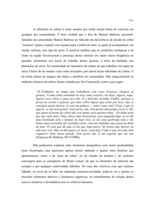 111
A referência às cobras é outro assunto que rende muitas horas de conversa em
qualquer das comunidades. É bem verdade que o fato de Manuel Barbosa, ancestralfundador da comunidade Manuel Barbosa ter falecido em decorrência de picada de cobra
“cruzeira” ajuda a remeter esse assunto para a esfera do mito, os quais já acompanham, em
muitas culturas, este tipo de seres. É possível também que as condições ecológicas e de
clima na região favorecessem a presença destes animais em muito maior freqüência no
passado, justamente nos locais de trabalho destas pessoas, à beira do banhado, nas
plantações de arroz. Na comunidade de Anastácia, há relatos de que trabalhos em taipas de
arroz à beira do rio muitas vezes eram recusados, por serem locais infestados de cobras. E
há ainda relatos de ataques não fatais a membros da comunidade. Mas inegavelmente as
melhores histórias de cobras foram contadas por Seu Franciscão, como a que segue:
“O Fialhinho, no tempo que trabalhava com esses Fonseca, chegava ai
gritava. Vi uma cobra entrando na toca, uma cruzeira, ele dizia, Agarra, nego,
agarra essa cobra e puxa pra trás. E o falecido Aristides Fialho, apoiava a
perna no cavalo e puxava, que uma cobra depois que entra pra toca, não se
consegue puxar inteira, só vem um pedaço. – como é que vem? Como é que se
agarra, se não tem perna? Tem perna, sim. Tem perna sim porque eu já vi. Diz
que quem vê perna de cobra não vive muito, pois quantos anos... Eu tinha acho
que uns vinte anos. Uma cobra, uma Jararacona, tava pegando fogo, eu só dei
uma bordoada nela e larguei no fogo viva, só dei uma quebrada nela e ela
botou umas perninha tão curtinha assim, com uns dedinhos que parecem dedo
de pato. O cara que diz que vê diz que logo morre. Se tivesse que morrer eu
não tava vivo. Mas eu não quero ver mais, coisa feia. Como é que ela sobe num
coqueiro? Sobe numa parede. Tem perna sim. É um segredo que ela tem
(Francisco R. Barbosa, 09/11/2006).
Não poderemos explorar estes elementos etnográficos com maior profundidade
nesta dissertação, mas queremos apenas deixar indicado o quanto estas histórias que
apresentamos, como a da “pata da cobra” ou da criação do homem e do cachorro
convergem para as concepções de Bruno Latour, de que os elementos da natureza são
(sempre e por qualquer coletividade) híbridos. No caso dos coletivos com que estamos
lidando, ao invés de se falar em separação natureza-sociedade, pode-se ver o quanto se
mesclam elementos afetivos e elementos cognitivos, no entendimento da relação destes
seres (e mistérios e divindades) com os coletivos humanos.

 