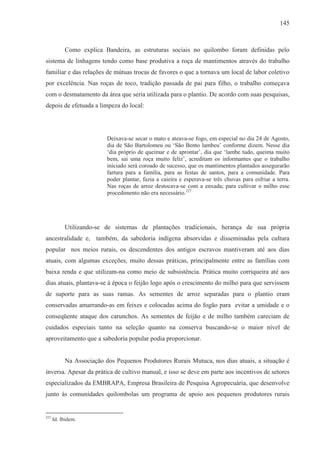 145



           Como explica Bandeira, as estruturas sociais no quilombo foram definidas pelo
sistema de linhagens tendo como base produtiva a roça de mantimentos através do trabalho
familiar e das relações de mútuas trocas de favores o que a tornava um local de labor coletivo
por excelência. Nas roças de toco, tradição passada de pai para filho, o trabalho começava
com o desmatamento da área que seria utilizada para o plantio. De acordo com suas pesquisas,
depois de efetuada a limpeza do local:




                          Deixava-se secar o mato e ateava-se fogo, em especial no dia 24 de Agosto,
                          dia de São Bartolomeu ou ‘São Bento lambeu’ conforme dizem. Nesse dia
                          ‘dia próprio de queimar e de aprontar’, dia que ‘lambe tudo, queima muito
                          bem, sai uma roça muito feliz’, acreditam os informantes que o trabalho
                          iniciado será coroado de sucesso, que os mantimentos plantados assegurarão
                          fartura para a família, para as festas de santos, para a comunidade. Para
                          poder plantar, fazia a caieira e esperava-se três chuvas para esfriar a terra.
                          Nas roças de arroz destocava-se com a enxada; para cultivar o milho esse
                          procedimento não era necessário.227




           Utilizando-se de sistemas de plantações tradicionais, herança de sua própria
ancestralidade e, também, da sabedoria indígena absorvidas e disseminadas pela cultura
popular nos meios rurais, os descendentes dos antigos escravos mantiveram até aos dias
atuais, com algumas exceções, muito dessas práticas, principalmente entre as famílias com
baixa renda e que utilizam-na como meio de subsistência. Prática muito corriqueira até aos
dias atuais, plantava-se à época o feijão logo após o crescimento do milho para que servissem
de suporte para as suas ramas. As sementes de arroz separadas para o plantio eram
conservadas amarrando-as em feixes e colocadas acima do fogão para evitar a umidade e o
conseqüente ataque dos carunchos. As sementes de feijão e de milho também careciam de
cuidados especiais tanto na seleção quanto na conserva buscando-se o maior nível de
aproveitamento que a sabedoria popular podia proporcionar.


           Na Associação dos Pequenos Produtores Rurais Mutuca, nos dias atuais, a situação é
inversa. Apesar da prática de cultivo manual, e isso se deve em parte aos incentivos de setores
especializados da EMBRAPA, Empresa Brasileira de Pesquisa Agropecuária, que desenvolve
junto às comunidades quilombolas um programa de apoio aos pequenos produtores rurais


227
      Id. Ibidem.
 