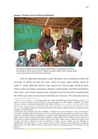 147



Imagem 3: Detalhe da Festa da Banana Quilombola




      Fotografia de detalhe da Festa da Banana Quilombola, Comunidade do Mutuca
      Foto tirada em 06 de Junho de 2010. Modelo da câmera DMC-FX07, formato JPEG
      Acerco particular de Silvânio Paulo de Barcelos


          Além dos subprodutos produzidos a partir da banana, outras mercadorias também são
oferecidas ao público na feira, tais como: licores de pequi, capim cidreira, quiabo de
angola228, jatobá, jabuticaba, abacaxi e figo, pequi em pó, bala de pequi, farinha de pequi,
bonecas feitas com cabaças, artesanatos e bijuterias confeccionadas com folhas da bananeira,
entre outros, como mostra a imagem acima. Segundo Laura Ferreira da Silva, grande maioria
das famílias que moram na zona rural do município de Livramento – MT, bem como as de sua
228
    O Hibiscus sabdariffa L. é um arbusto perene da Família das Malváceas que pode atingir cerca de 2 a 3
metros de altura. Pertence ao gênero Hibiscus, que compreende cerca 200 espécies de plantas. De origem
africana e asiática, é conhecida popularmente como hibisco, hibiscus, rosela, groselha, azedinha, quiabo azedo,
caruru-azedo, caruru-da-guiné e quiabo-de-angola, além de receber outros nomes como cardadé, rosa da
Jamaica, té de Jamaica (espanhol); red sorrel ou Jamaica sorrel (inglês); cardade (italiano); afrikanische malve
(alemão) ou roselle (francês).
As diferentes partes da planta têm várias utilidades. As folhas são ricas em vitaminas A e B1, sais minerais e
aminoácidos. Quando ainda estão bem jovens e tenras, as folhas podem ser consumidas em saladas cruas; depois,
um pouco mais velhas podem ser refogadas ou se tornar um ótimo ingrediente para o preparo de cozidos, sopas,
feijão e arroz. O cálice vermelho tem um sabor azedinho e contém ácidos cítricos, hibístico, málico e tartárico. O
cálice pode ser usado na fabricação de geléias, doces, picles, vinho, vinagre, sucos e também no preparo de um
excelente chá. Para o preparo do suco são utilizados os cálices crus ou cozidos, que são triturados no
liquidificador com água, depois é só coar e adoçar a gosto. O cálice triturado é aproveitado para o preparo de
geléia ou doce. Já o chá é obtido a partir do cálice seco à sombra. As sementes possuem 17% de óleo e 25% de
proteína.
Disponível em: http://www.jardimdeflores.com.br/ERVAS/A42hibiscus.htm Acesso em 04/Fev/2011.
 