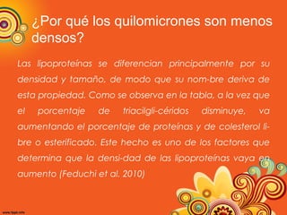 ¿Por qué los quilomicrones son menos
densos?
Las lipoproteínas se diferencian principalmente por su
densidad y tamaño, de modo que su nom­bre deriva de
esta propiedad. Como se observa en la tabla, a la vez que
el

porcentaje

de

triacilgli­céridos

disminuye,

va

aumentando el porcentaje de proteínas y de colesterol li­
bre o esterificado. Este hecho es uno de los factores que
determina que la densi­dad de las lipoproteínas vaya en
aumento (Feduchi et al. 2010)

 