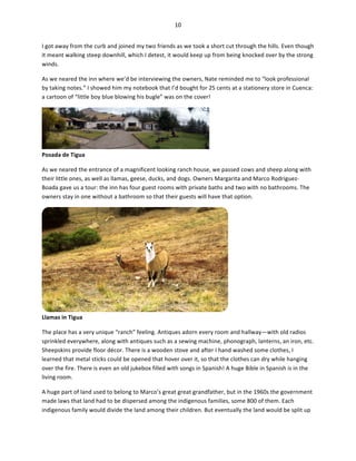 10	
  
	
  
I	
  got	
  away	
  from	
  the	
  curb	
  and	
  joined	
  my	
  two	
  friends	
  as	
  we	
  took	
  a	
  short	
  cut	
  through	
  the	
  hills.	
  Even	
  though	
  
it	
  meant	
  walking	
  steep	
  downhill,	
  which	
  I	
  detest,	
  it	
  would	
  keep	
  up	
  from	
  being	
  knocked	
  over	
  by	
  the	
  strong	
  
winds.	
  	
  
As	
  we	
  neared	
  the	
  inn	
  where	
  we’d	
  be	
  interviewing	
  the	
  owners,	
  Nate	
  reminded	
  me	
  to	
  “look	
  professional	
  
by	
  taking	
  notes.”	
  I	
  showed	
  him	
  my	
  notebook	
  that	
  I’d	
  bought	
  for	
  25	
  cents	
  at	
  a	
  stationery	
  store	
  in	
  Cuenca:	
  
a	
  cartoon	
  of	
  “little	
  boy	
  blue	
  blowing	
  his	
  bugle”	
  was	
  on	
  the	
  cover!	
  	
  

Posada	
  de	
  Tigua	
  

	
  

As	
  we	
  neared	
  the	
  entrance	
  of	
  a	
  magnificent	
  looking	
  ranch	
  house,	
  we	
  passed	
  cows	
  and	
  sheep	
  along	
  with	
  
their	
  little	
  ones,	
  as	
  well	
  as	
  llamas,	
  geese,	
  ducks,	
  and	
  dogs.	
  Owners	
  Margarita	
  and	
  Marco	
  Rodriguez-­‐
Boada	
  gave	
  us	
  a	
  tour:	
  the	
  inn	
  has	
  four	
  guest	
  rooms	
  with	
  private	
  baths	
  and	
  two	
  with	
  no	
  bathrooms.	
  The	
  
owners	
  stay	
  in	
  one	
  without	
  a	
  bathroom	
  so	
  that	
  their	
  guests	
  will	
  have	
  that	
  option.	
  	
  

Llamas	
  in	
  Tigua	
  

	
  

The	
  place	
  has	
  a	
  very	
  unique	
  “ranch”	
  feeling.	
  Antiques	
  adorn	
  every	
  room	
  and	
  hallway—with	
  old	
  radios	
  
sprinkled	
  everywhere,	
  along	
  with	
  antiques	
  such	
  as	
  a	
  sewing	
  machine,	
  phonograph,	
  lanterns,	
  an	
  iron,	
  etc.	
  
Sheepskins	
  provide	
  floor	
  décor.	
  There	
  is	
  a	
  wooden	
  stove	
  and	
  after	
  I	
  hand	
  washed	
  some	
  clothes,	
  I	
  
learned	
  that	
  metal	
  sticks	
  could	
  be	
  opened	
  that	
  hover	
  over	
  it,	
  so	
  that	
  the	
  clothes	
  can	
  dry	
  while	
  hanging	
  
over	
  the	
  fire.	
  There	
  is	
  even	
  an	
  old	
  jukebox	
  filled	
  with	
  songs	
  in	
  Spanish!	
  A	
  huge	
  Bible	
  in	
  Spanish	
  is	
  in	
  the	
  
living	
  room.	
  	
  
A	
  huge	
  part	
  of	
  land	
  used	
  to	
  belong	
  to	
  Marco’s	
  great	
  great	
  grandfather,	
  but	
  in	
  the	
  1960s	
  the	
  government	
  
made	
  laws	
  that	
  land	
  had	
  to	
  be	
  dispersed	
  among	
  the	
  indigenous	
  families,	
  some	
  800	
  of	
  them.	
  Each	
  
indigenous	
  family	
  would	
  divide	
  the	
  land	
  among	
  their	
  children.	
  But	
  eventually	
  the	
  land	
  would	
  be	
  split	
  up	
  

 