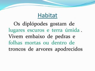 Habitat
  Os diplópodes gostam de
lugares escuros e terra úmida .
Vivem embaixo de pedras e
folhas mortas ou dentro de
troncos de arvores apodrecidos
 
