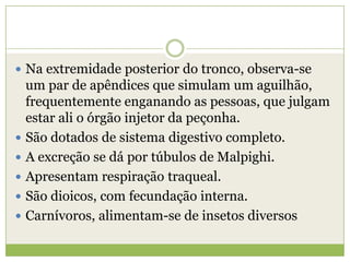 .

 Na extremidade posterior do tronco, observa-se









um par de apêndices que simulam um aguilhão,
frequentemente enganando as pessoas, que julgam
estar ali o órgão injetor da peçonha.
São dotados de sistema digestivo completo.
A excreção se dá por túbulos de Malpighi.
Apresentam respiração traqueal.
São dioicos, com fecundação interna.
Carnívoros, alimentam-se de insetos diversos

 