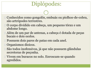 Diplópodes:
Conhecidos como gongolôs, embuás ou piolhos-de-cobra,
são artrópodes terrestres.
O corpo dividido em cabeça, um pequeno tórax e um
abdome longo.
Além de um par de antenas, a cabeça é dotada de peças
bucais e dois ocelos.
Possuem dois pares de patas em cada anel.
Organismos dioicos.
São todos inofensivos, já que não possuem glândulas
secretoras de peçonha.
Vivem em buracos no solo. Enroscam-se quando
agredidos.
 