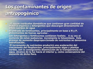 Los contaminantes de origen antropogénico   a) aguas residuales domésticas que contienen gran cantidad de materia orgánica y detergentes que descargan directamente en estos cuerpos de agua  b) entrada de fertilizantes, principalmente en base a N y P,  provenientes de faenas agrícolas . Los detergentes y fertilizantes contienen fosfato.  A su vez el aumento de estas sustancias  incrementa la fotosíntesis.  Este proceso de aumento desproporcionado de nutrientes se denomina  eutrofización.  El incremento de nutrientes producirá una aceleración del crecimiento del fitoplancton, principalmente algas y plantas verdes, con la consiguiente disminución de la transparencia del agua, alcance de la luz hacia el interior y, como consecuencia del aumento de dicha flora. 