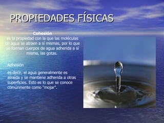 PROPIEDADES FÍSICAS Cohesión es la propiedad con la que las moléculas de agua se atraen a sí mismas, por lo que se forman cuerpos de agua adherida a sí misma, las gotas.  Adhesión es decir, el agua generalmente es atraída y se mantiene adherida a otras superficies. Esto es lo que se conoce comúnmente como "mojar". 