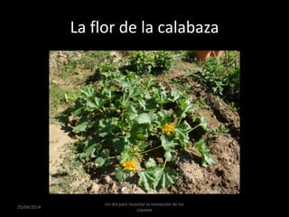 La flor de la calabaza
25/04/2014
Un día para recordar la revolución de los
claveles
 