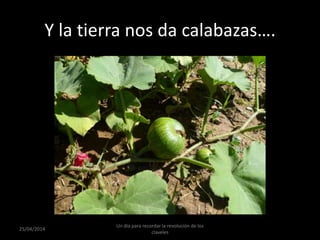 Y la tierra nos da calabazas….
25/04/2014
Un día para recordar la revolución de los
claveles
 