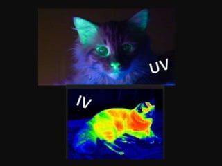 Espectrofotometria: Análises em UV e infravermelho