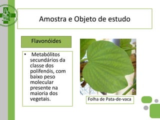 Flavonóides
Folha de Pata-de-vaca
Amostra e Objeto de estudo
• Metabólitos
secundários da
classe dos
polifenóis, com
baixo peso
molecular
presente na
maioria dos
vegetais.
 