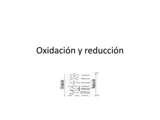 Oxidación y reducción 