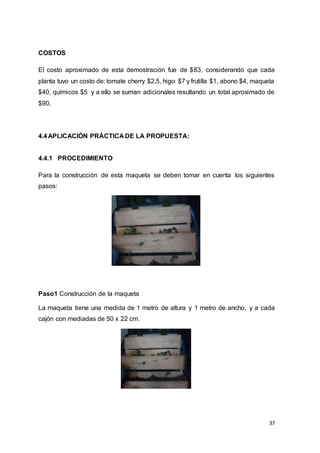 37
COSTOS
El costo aproximado de esta demostración fue de $83, considerando que cada
planta tuvo un costo de: tomate cherry $2,5, higo $7 y frutilla $1, abono $4, maqueta
$40, químicos $5 y a ello se suman adicionales resultando un total aproximado de
$90.
4.4APLICACIÓN PRÁCTICA DE LA PROPUESTA:
4.4.1 PROCEDIMIENTO
Para la construcción de esta maqueta se deben tomar en cuenta los siguientes
pasos:
Paso1 Construcción de la maqueta
La maqueta tiene una medida de 1 metro de altura y 1 metro de ancho, y a cada
cajón con mediadas de 50 x 22 cm.
 
