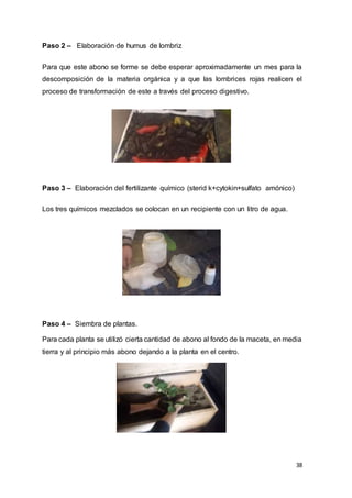 38
Paso 2 – Elaboración de humus de lombriz
Para que este abono se forme se debe esperar aproximadamente un mes para la
descomposición de la materia orgánica y a que las lombrices rojas realicen el
proceso de transformación de este a través del proceso digestivo.
Paso 3 – Elaboración del fertilizante químico (sterid k+cytokin+sulfato amónico)
Los tres químicos mezclados se colocan en un recipiente con un litro de agua.
Paso 4 – Siembra de plantas.
Para cada planta se utilizó cierta cantidad de abono al fondo de la maceta, en media
tierra y al principio más abono dejando a la planta en el centro.
 