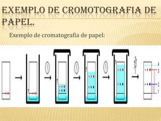 Exemplo de cromotografia de papel.Exemplo de cromatografia de papel: