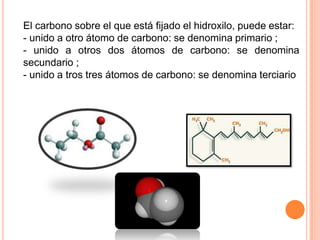 El carbono sobre el que está fijado el hidroxilo, puede estar:
- unido a otro átomo de carbono: se denomina primario ;
- unido a otros dos átomos de carbono: se denomina
secundario ;
- unido a tros tres átomos de carbono: se denomina terciario
 