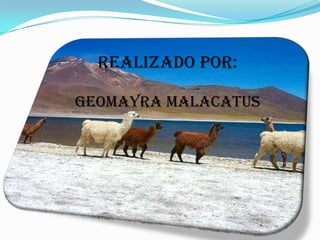 REALIZADO POR:

GEOMAYRA MALACATUS
 