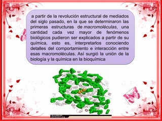  a partir de la revolución estructural de mediados
del siglo pasado, en la que se determinaron las
primeras estructuras de macromoléculas, una
cantidad cada vez mayor de fenómenos
biológicos pudieron ser explicados a partir de su
química, esto es, interpretarlos conociendo
detalles del comportamiento e interacción entre
esas macromoléculas. Así surgió la unión de la
biología y la química en la bioquímica
 a partir de la revolución estructural de mediados
del siglo pasado, en la que se determinaron las
primeras estructuras de macromoléculas, una
cantidad cada vez mayor de fenómenos
biológicos pudieron ser explicados a partir de su
química, esto es, interpretarlos conociendo
detalles del comportamiento e interacción entre
esas macromoléculas. Así surgió la unión de la
biología y la química en la bioquímica
 