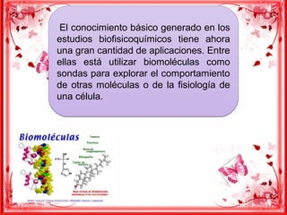 El conocimiento básico generado en los
estudios biofisicoquímicos tiene ahora
una gran cantidad de aplicaciones. Entre
ellas está utilizar biomoléculas como
sondas para explorar el comportamiento
de otras moléculas o de la fisiología de
una célula.
El conocimiento básico generado en los
estudios biofisicoquímicos tiene ahora
una gran cantidad de aplicaciones. Entre
ellas está utilizar biomoléculas como
sondas para explorar el comportamiento
de otras moléculas o de la fisiología de
una célula.
 