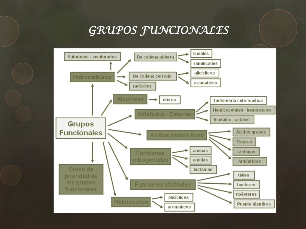 QUIMICA ORGANICA E