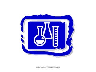 CRISTIAN ALVAREZ FUENTES
 