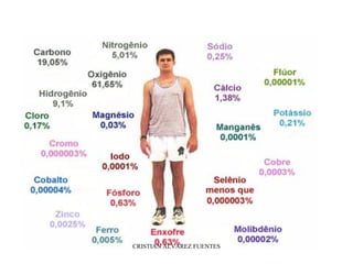 CRISTIAN ALVAREZ FUENTES
 