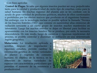 a. Con fines agrícolas
Control de Plagas. Se sabe que algunos insectos pueden ser muy perjudiciales
tanto para la calidad y productividad de cierto tipo de cosechas, como para la
salud humana. En muchas regiones del planeta aún se les combate con la
ayuda de gran variedad de productos químicos, muchos de ellos cuestionados
o prohibidos por los efectos nocivos que producen en el organismo humano.
Sin embargo, con la tecnología nuclear es posible aplicar la llamada "Técnica
de los Insectos Estériles (TIE)", que consiste en suministrar altas emisiones de
radiación ionizante a un cierto grupo de insectos machos mantenidos en
laboratorio. Luego los machos estériles se dejan en libertad para facilitar su
apareamiento con los insectos hembra. No se produce, por ende, la necesaria
descendencia. De este modo, luego de sucesivas y rigurosas repeticiones del
proceso, es posible controlar y disminuir su población en una determinada
región geográfica.
Mutaciones. La irradiación aplicada a
semillas, después de importantes y
rigurosos estudios, permite cambiar la
información genética de ciertas variedades
de plantas y vegetales de consumo
humano. El objetivo de la técnica, es la
obtención de nuevas variedades de
especies con características particulares que
permitan el aumento de su resistencia y
productividad.
 